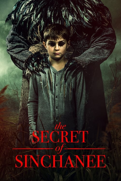 دانلود فیلم The Secret of Sinchanee