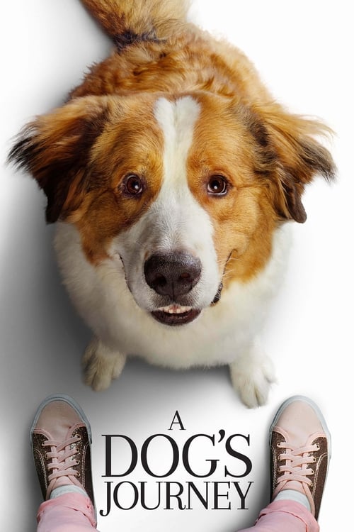 دانلود فیلم A Dog s Journey – سفر یک سگ